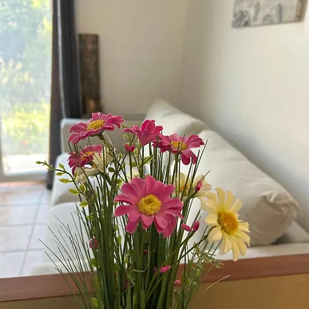 Giens - A Pied -9 Couchages Villa